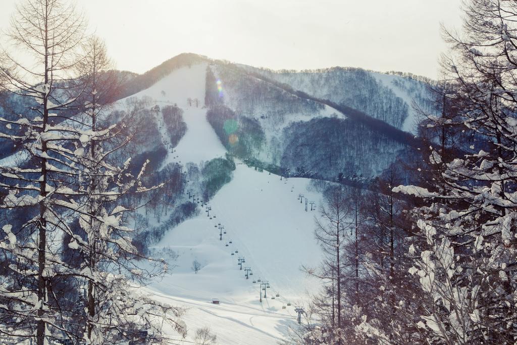 Snowball Chalet At Madarao Mountain Iiyama Exterior foto
